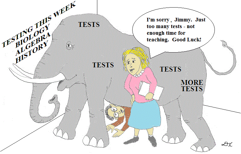 The Elephant in the Classroom - Too Many Tests!