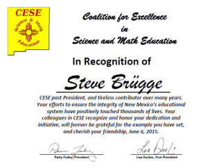 Steve Brügge's award